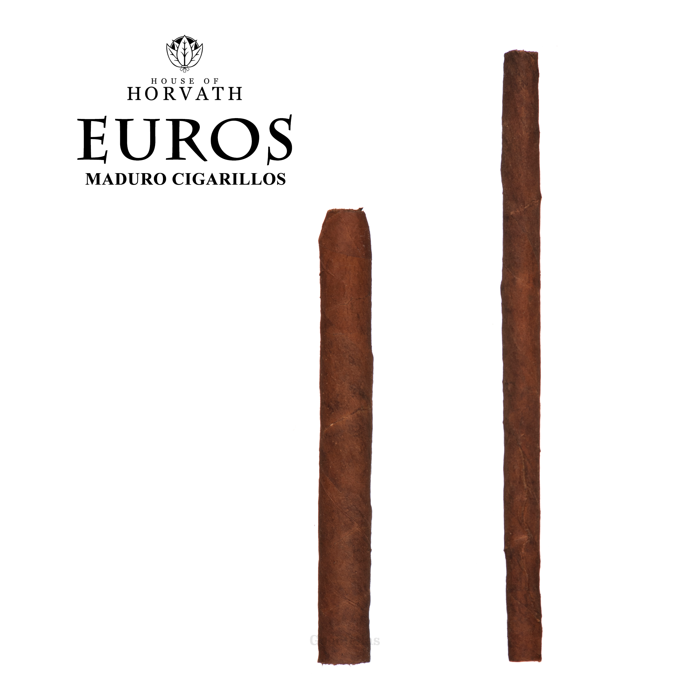HOH Euro Maduro Cigarillos