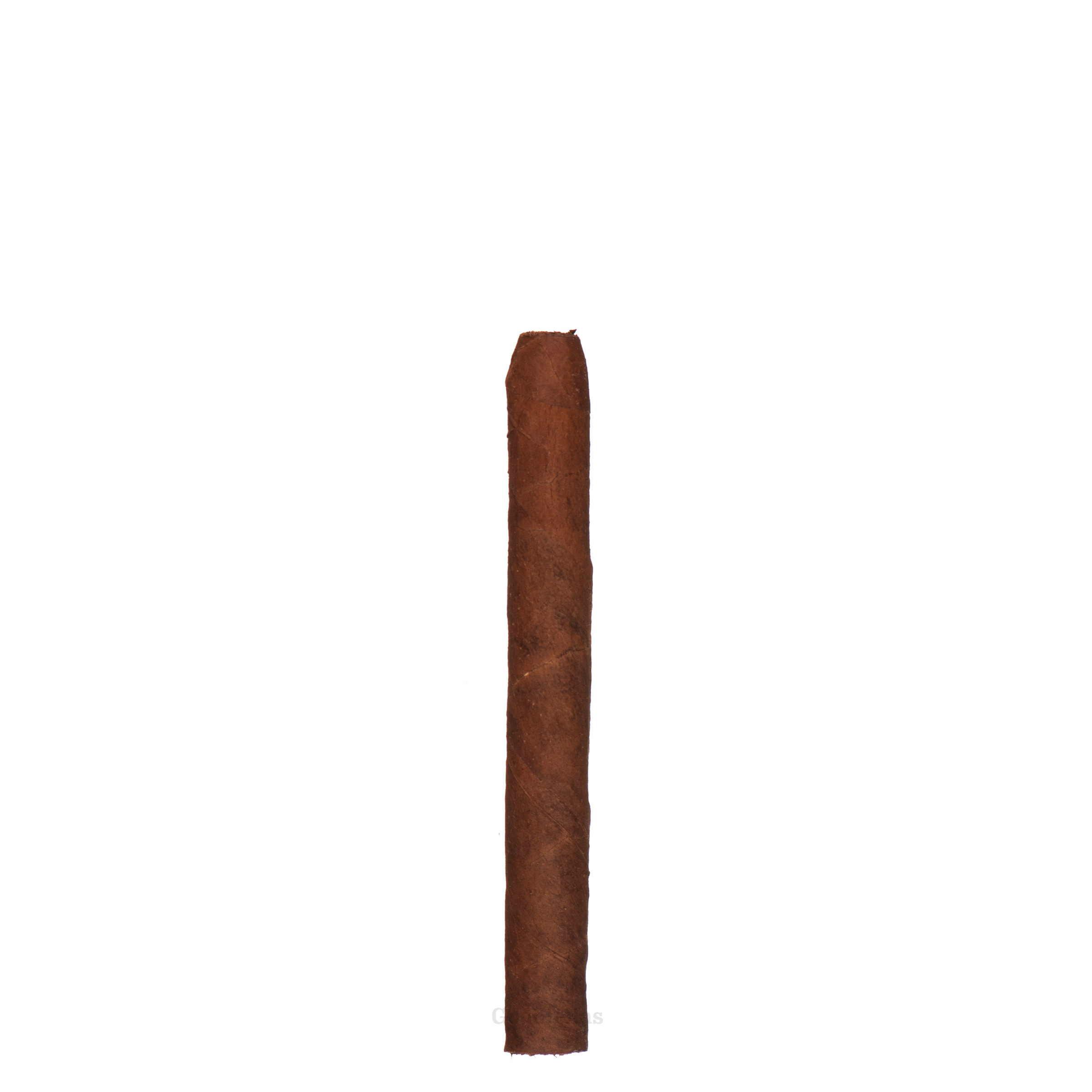 HOH Euro Maduro Cigarillos