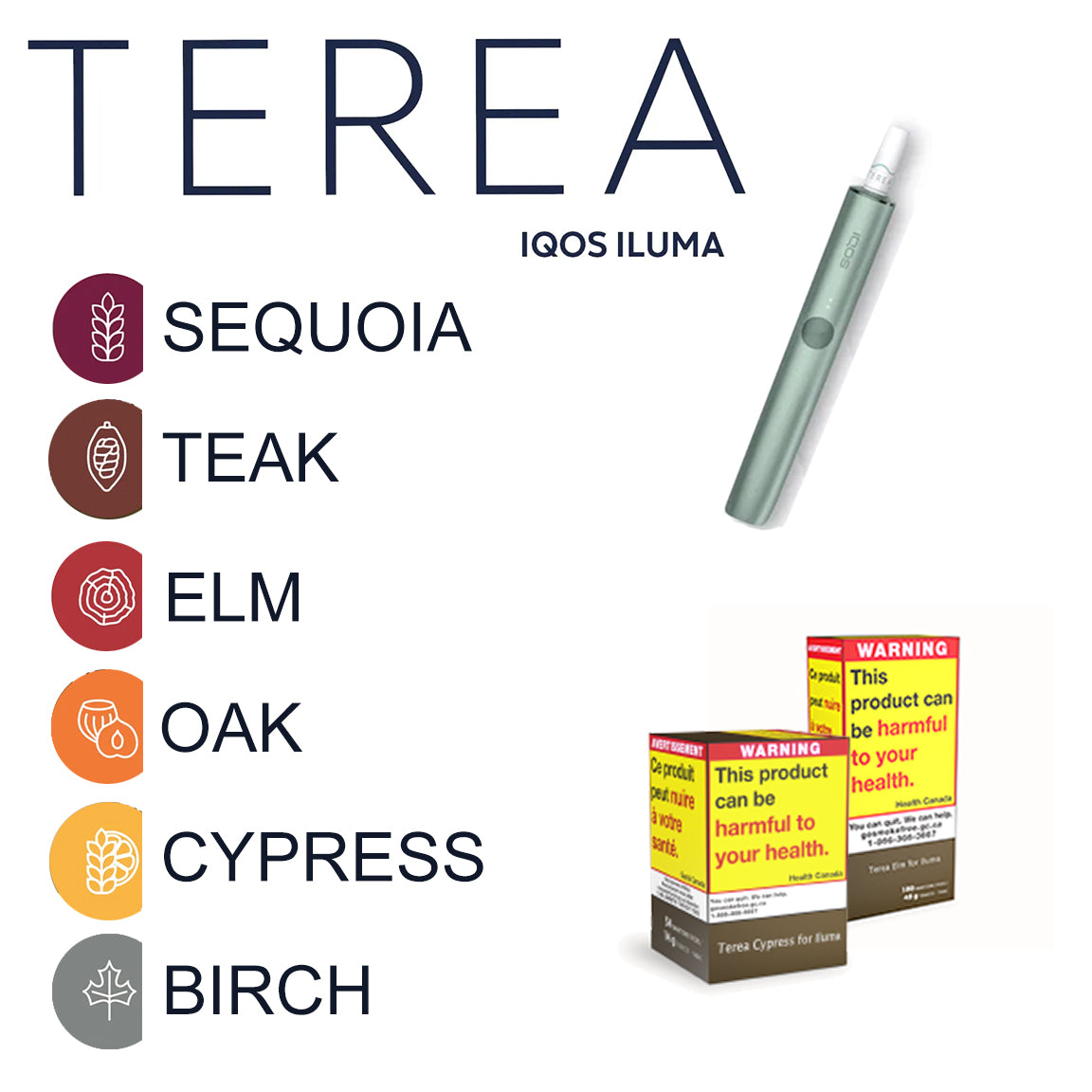 What is Terea Iqos Iluma: Ultimate Guide to IQOS ILUMA Dubai