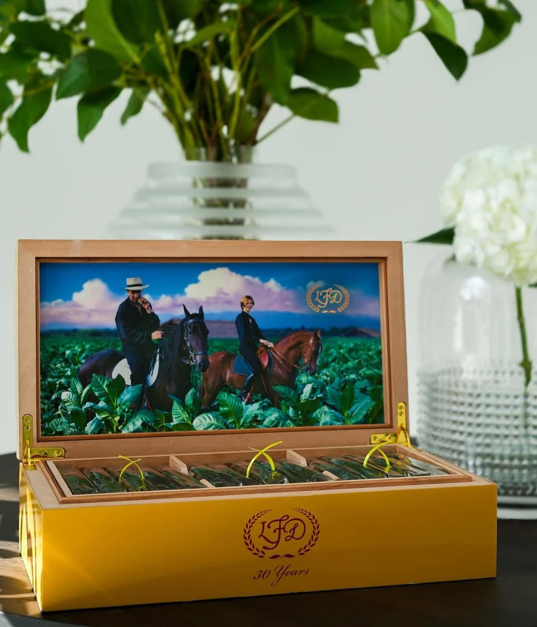 La Flor Dominicana 30 Years Cigars