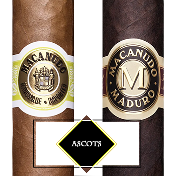 Macanudo Ascots Small Cigars