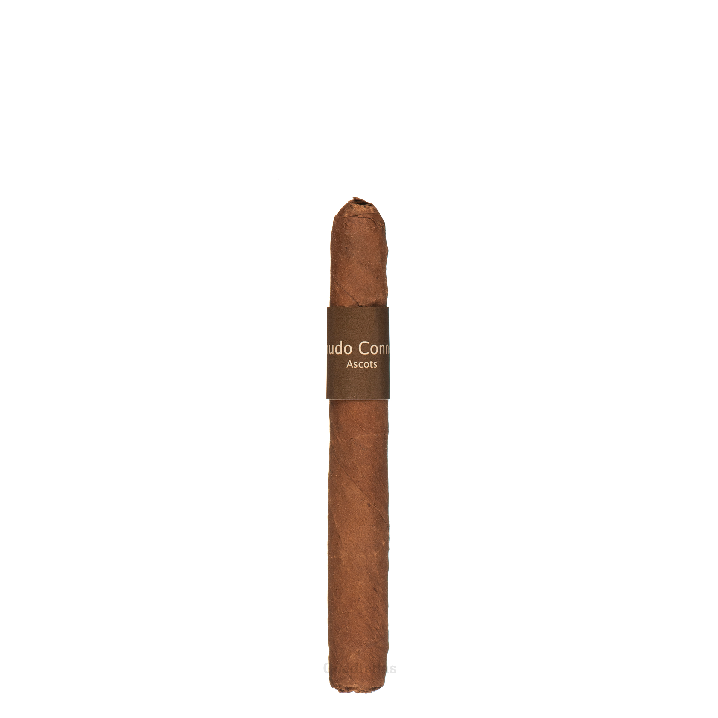 Macanudo Ascots Small Cigars