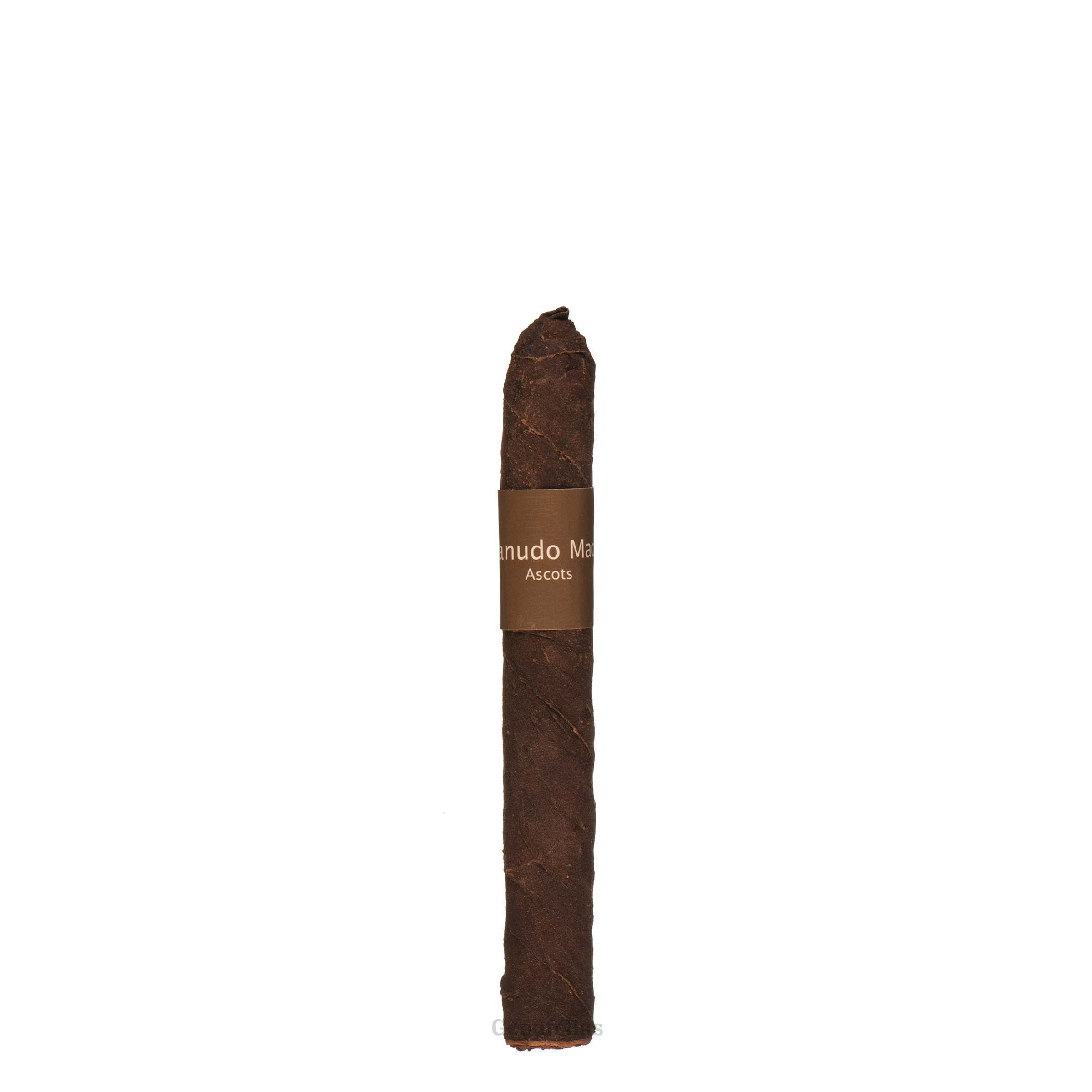 Macanudo Ascots Small Cigars